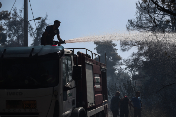 Συνελήφθη ο 64χρονος μελισσοκόμος για τη φωτιά στη Σταμάτα