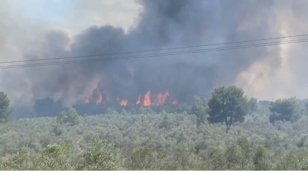 Ανατροπή για τις φωτιές στο Θεολόγο: Προσήχθη 13χρονος ως ύποπτος