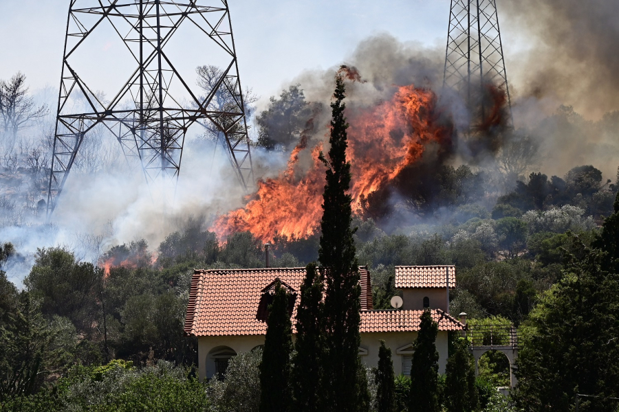 «Καμπανάκι κινδύνου» Λέκκα για τις φωτιές στην Αττική: «Δεν μπορούμε να χάσουμε άλλο πράσινο, δεν έχει τη δυνατότητα να αναγεννηθεί»