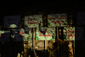 Διακόσιοι της Καισαριανής: Τα «αντίποινα»- Όταν η ακροδεξιά καταγγέλλει τον ... Κολοκοτρώνη!