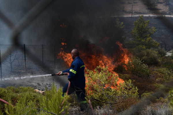 Πυροσβεστική: 41 φωτιές ξέσπασαν μέσα σε ένα 24ωρο