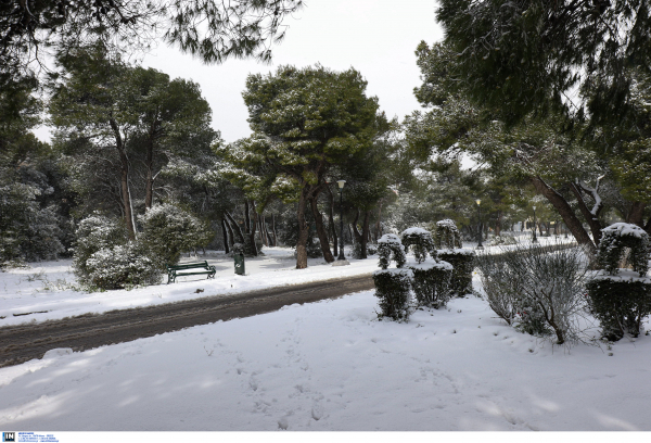 Αναψε φωτιά μέσα στο χιόνι κοντά σε πεύκα και έτρεχαν να τη σβήσουν!