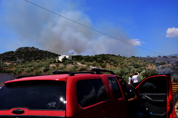 Πυρκαγιά σε δασική έκταση στην Ηλεία