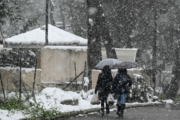 Καιρός: Προειδοποίηση Μαρουσάκη για νέο κύμα κακοκαιρίας - «Δεν τελειώσαμε με τον χειμώνα» (βίντεο)