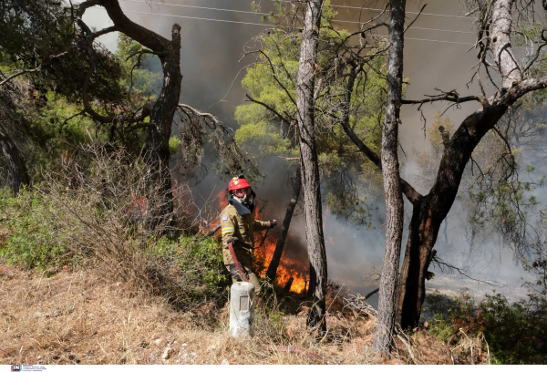 Φωτιά στη Μόρια Λέσβου, επιχειρούν και εναέρια μέσα