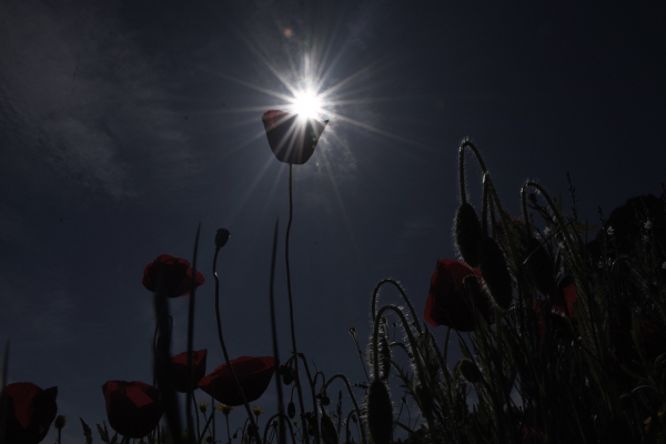 Ακόμα και στους 37 βαθμούς η θερμοκρασία την Τρίτη, ο καιρός αύριο 28/6