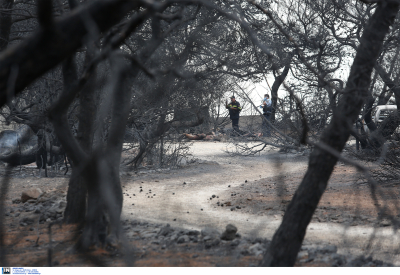 Φονική πυρκαγιά στο Μάτι: «Γνωρίζαμε για νεκρούς από τις 19.54!», δήλωσε ο Σωτήρης Τερζούδης