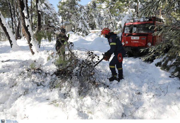 Νέα ανακοίνωση ΔΕΔΔΗΕ: Επανήλθε η ηλεκτροδότηση σε 38.000 νοικοκυριά, ποιες περιοχές είναι χωρίς ρεύμα