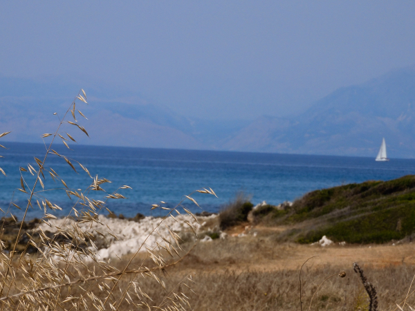 Κέρκυρα: Θρίλερ με άνδρα που βρέθηκε νεκρός σε παραλία στο βόρειο τμήμα του νησιού