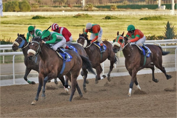 O ΠΑΡΤΥ ΤΑΪΓΚΕΡ νικητής του 1ου Markopoulo Park Handicap