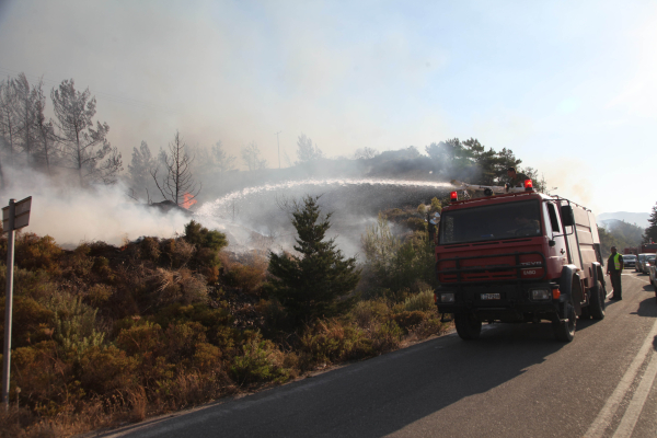 Φωτιά καίει δασική έκταση στη Ρόδο