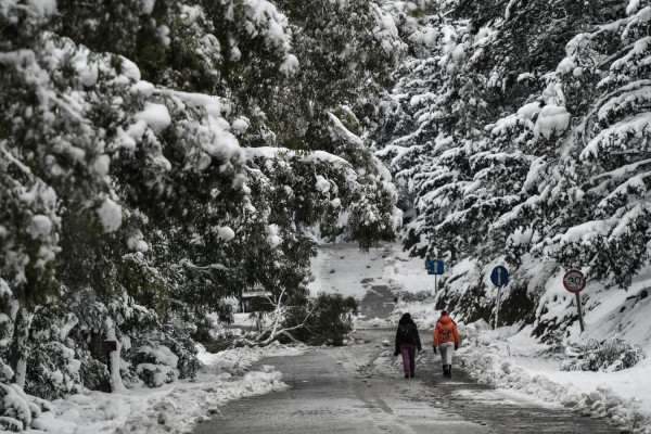 Καιρός σήμερα 18/2: Παγετός το πρωί και άνοδος της θερμοκρασίας, πού θα φτάσει τους μείον 15