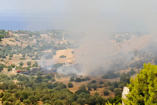 Φωτιά στο Αλεποχώρι - Οι πρώτες εικόνες (βίντεο)