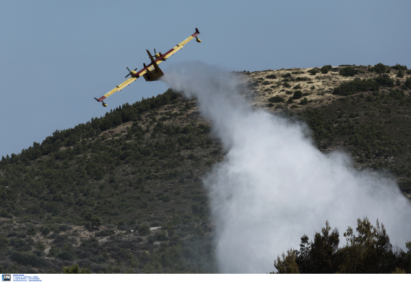 Μεγάλη φωτιά στην Ύδρα, δεν απειλούνται σπίτια (εικόνες, βίντεο)