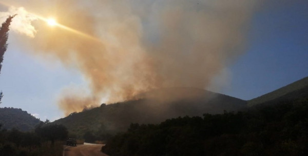 Φωτιά στη Ζάκυνθο: Οι πρώτες εικόνες από το πύρινο μέτωπο - Ενισχύονται οι δυνάμεις της Πυροσβεστικής (pics)