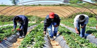 Στις εφορίες τα πρόστιμα για παράνομη απασχόληση