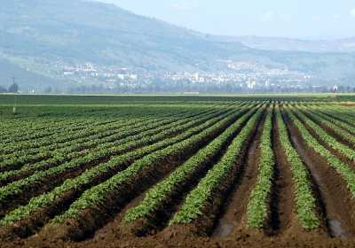 Εντός Δεκέμβρη πληρωμές βιολογικής γεωργίας απο τον ΟΠΕΚΕΠΕ