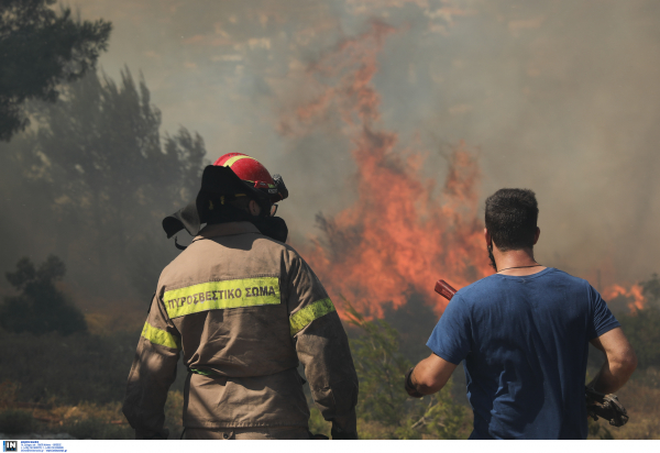 Σε ολονύχτια επιφυλακή η Πυροσβεστική: Καλύτερη η εικόνα σε Βαρνάβα και Στύρα (βίντεο)