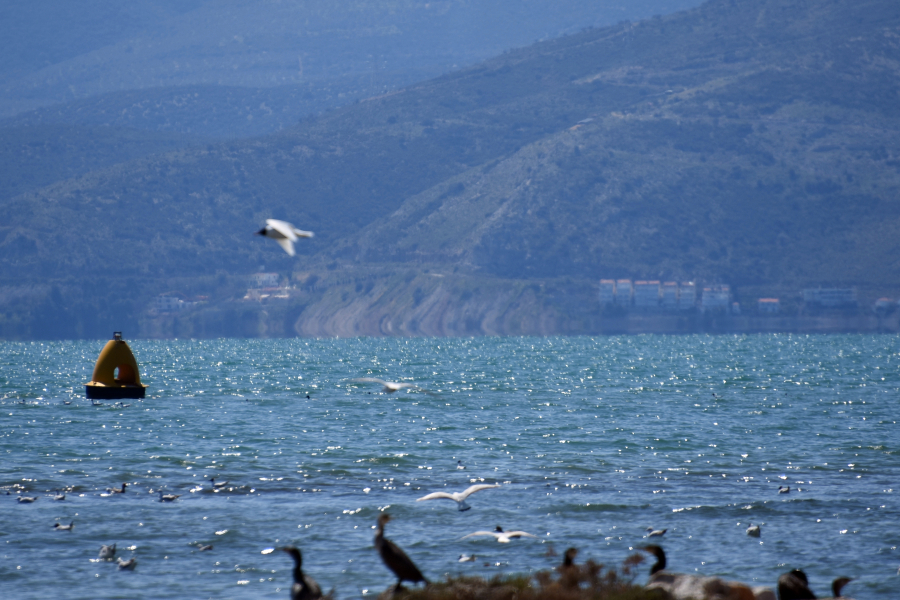 Ανοιξιάτικος καιρός σήμερα με άνοδο θερμοκρασίας, η πρόγνωση μέχρι το τέλος της εβδομάδας