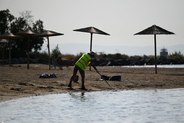 Νεκρά ψάρια στον Βόλο: Επιτρέπεται ξανά το κολύμπι