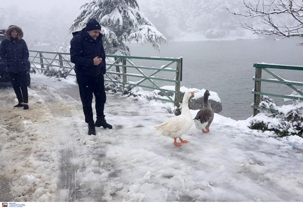 Ποιοι δρόμοι είναι κλειστοί στην Αττική λόγω της κακοκαιρίας