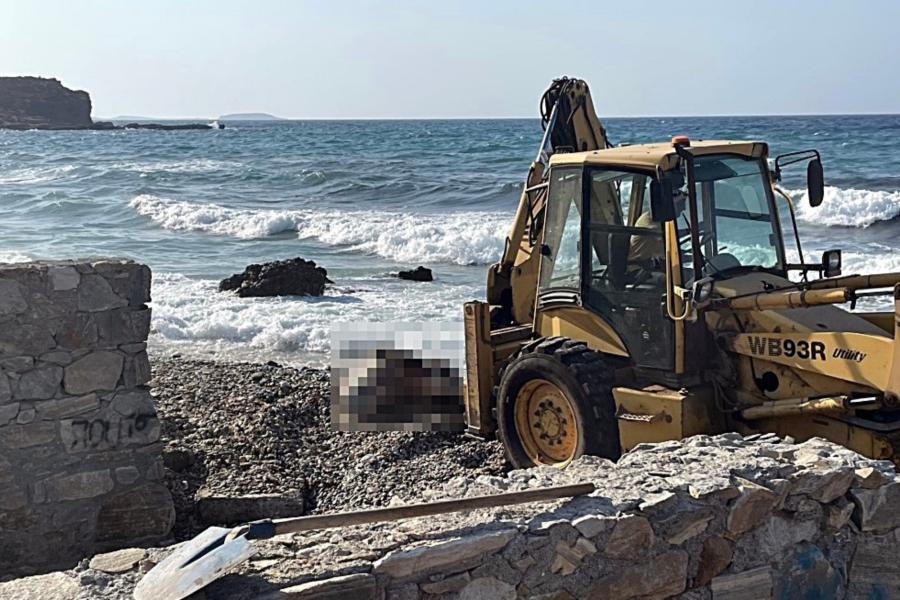 Ακέφαλη αγελάδα ξεβράστηκε στη Χώρα της Νάξου (Βίντεο)