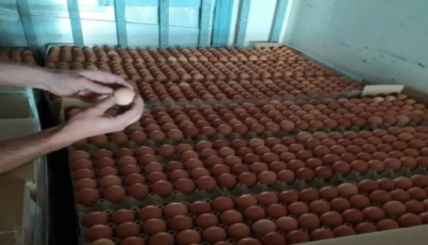 Μπλόκο ΣΔΟΕ σε «πασχαλινά» αβγά από Βουλγαρία χωρίς σήμανση
