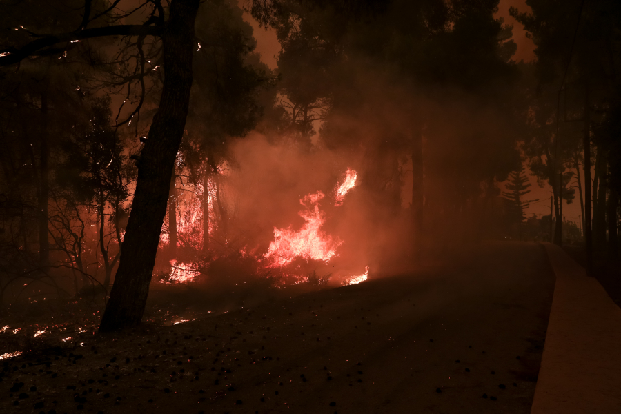 Ασύλληπτη οικολογική καταστροφή: Στάχτη πάνω από 650.000 στρέμματα γης