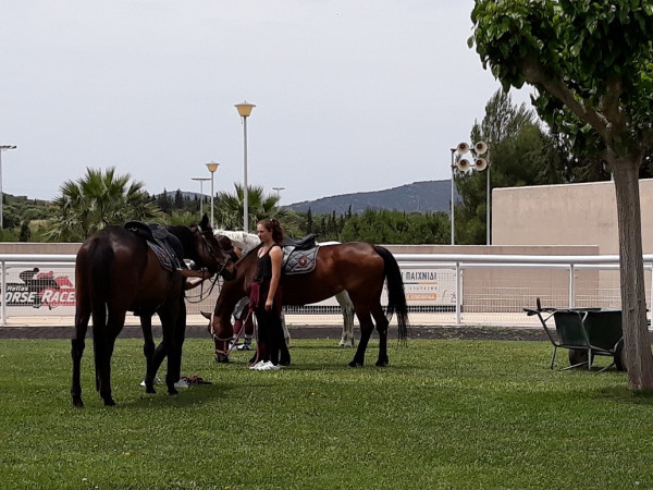 Markopoulo Park: Οκτώ συναρπαστικές ιπποδρομίες, ενισχυμένο Γκανιάν και δύο Σκορ-4