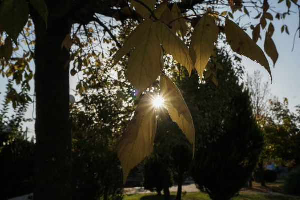 Αίθριος ο καιρός αλλά με πτώση θερμοκρασίας, η πρόγνωση μέχρι την Παρασκευή