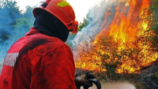 Συλλήψεις για εμπρησμούς σε Αττική και Έβρο