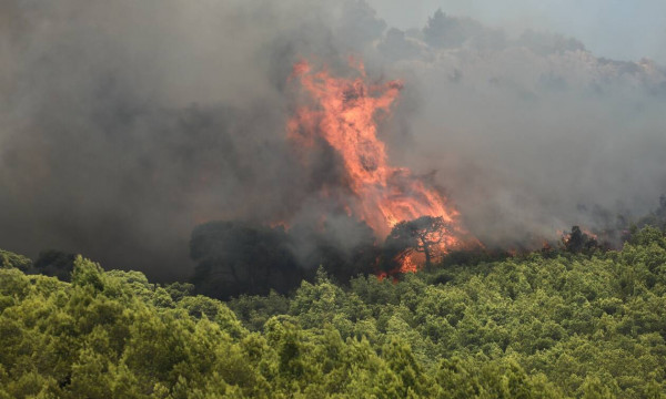 Υπό μερικό έλεγχο η φωτιά στην Κάρυστο