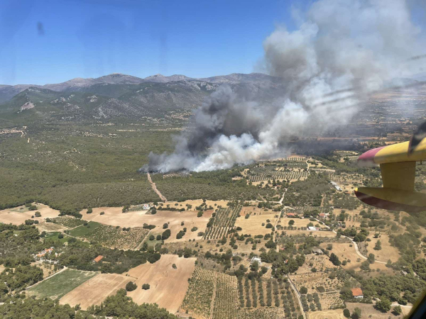 Συναγερμός στην Πυροσβεστική: Φωτιά στην Βένιζα στα Μέγαρα - Εκκένωση της περιοχής Ζάχουλη