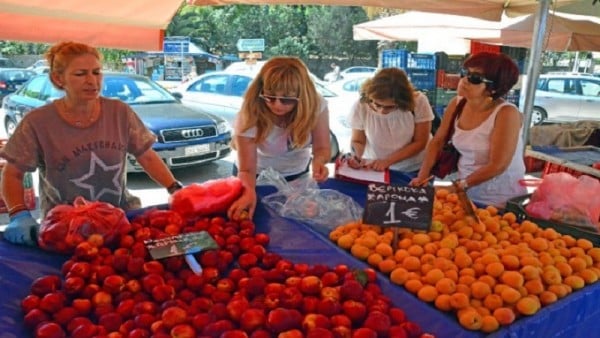 Το μέλλον του ελληνικού βερίκοκου μπορεί να είναι λαμπρό, υπό προϋποθέσεις