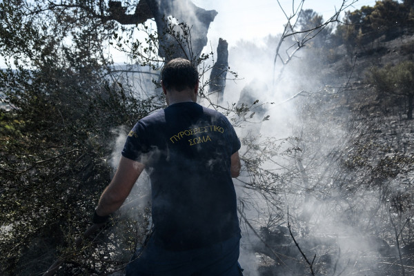 Πολύ υψηλός ο κίνδυνος πυρκαγιάς για αύριο - Δείτε τον χάρτη με τις περιοχές που κινδυνεύουν