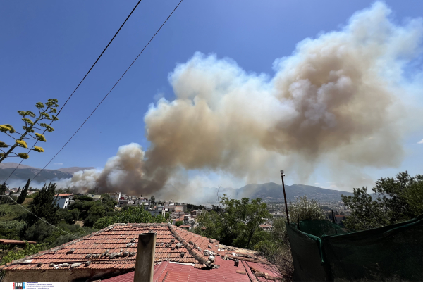 Μεγάλη φωτιά στην Πάτρα: Εστάλησαν μηνύματα από το 112, εκκενώθηκε το Καραμανδάνειο νοσοκομείο