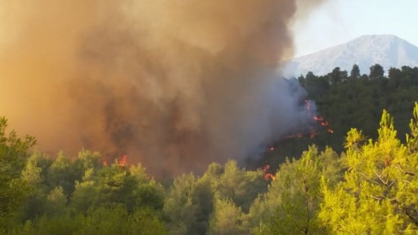 Σε εξέλιξη για δεύτερη μέρα η πυρκαγιά στον Πισσώνα Ευβοίας