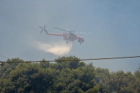 Φωτιά τώρα στη Μεσσηνία, επιχειρούν επίγεια και εναέρια μέσα