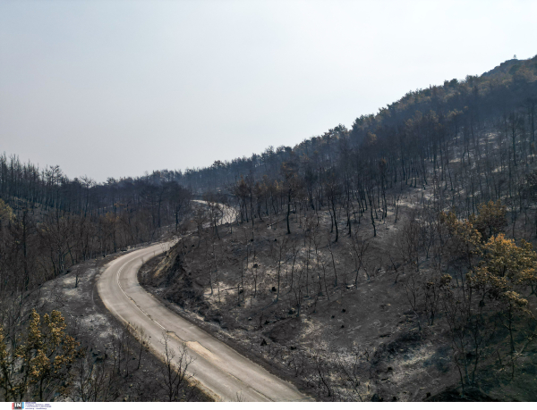 Πύρινη κόλαση ο Έβρος για 13η ημέρα, μεγαλώνει το μέτωπο της φωτιάς