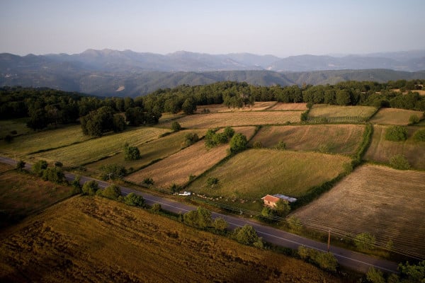 Επιδότηση από τον ΟΠΕΚΕΠΕ για παραγωγούς