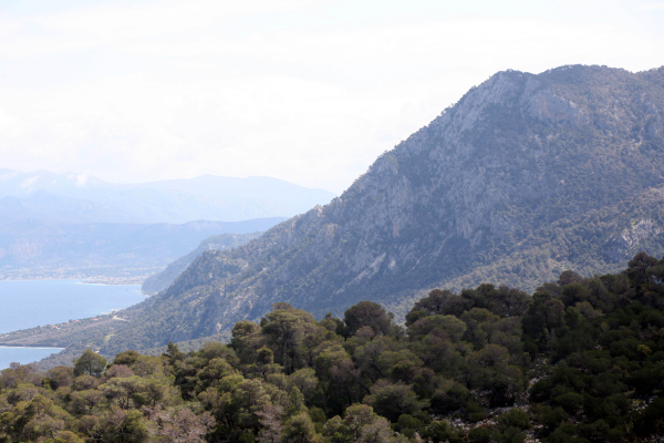 Γεράνεια Όρη: Πραγματοποιήθηκε πιλοτικά η πρώτη αναδάσωση στη χώρα με χρήση drone