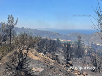 Έσβησε η φωτιά στη Χίο - Απετράπη μεγάλη καταστροφή (εικόνες, βίντεο)