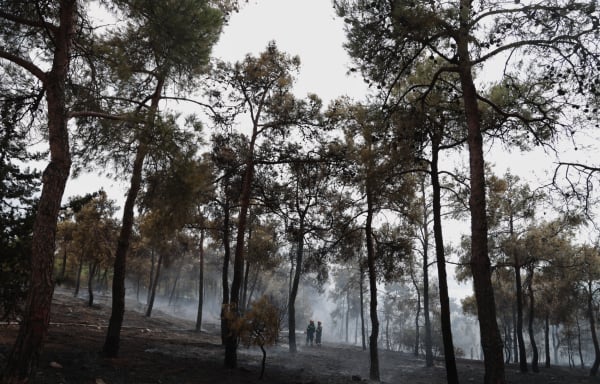 Θεσσαλονίκη: Σε ισχύ απαγόρευση της κυκλοφορίας στο Σέιχ Σου και άλλες δασικές εκτάσεις