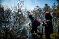 Νέα φωτιά στην Αιτωλοακαρνανία - Ζητήθηκε η εκκένωση δύο οικισμών (βίντεο)