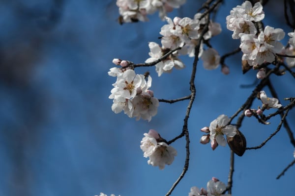 Καιρός: Άνοδος της θερμοκρασίας και λιακάδα την Παρασκευή