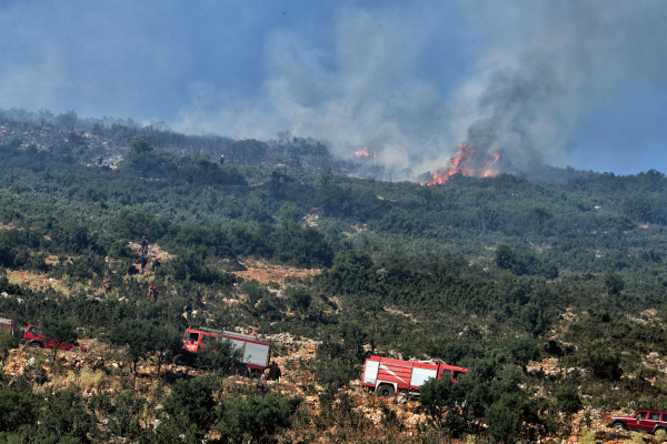 Οριοθετήθηκε η φωτιά στη Φυλή, δίπλα στο γήπεδο του Θρασύβουλου