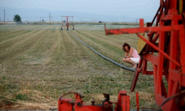 ΟΣΔΕ 2020: Ξεκίνησαν οι αιτήσεις στον ΟΠΕΚΕΠΕ - Τι ισχύει για την κάρτα αγρότη