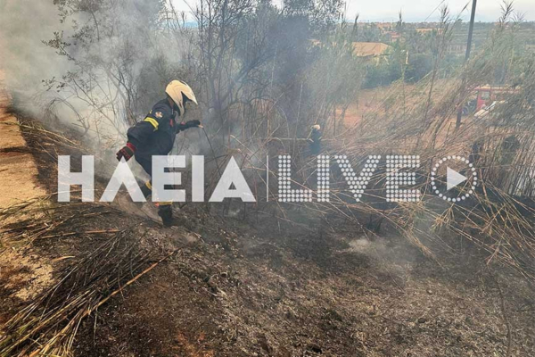 Ηλεία: Νέα φωτιά στο Ντόμπρινο - Πληροφορίες για εμπρησμό στα Λαστέϊκα