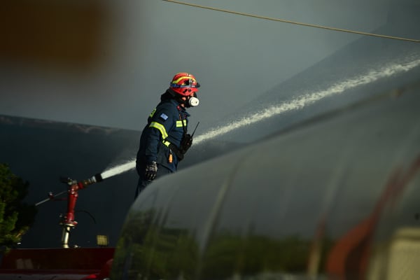 Φωτιά σε εργοστάσιο αυγών στη Θεσσαλονίκη: Οι «vegan» που ήθελαν να γίνουν εμπρηστές