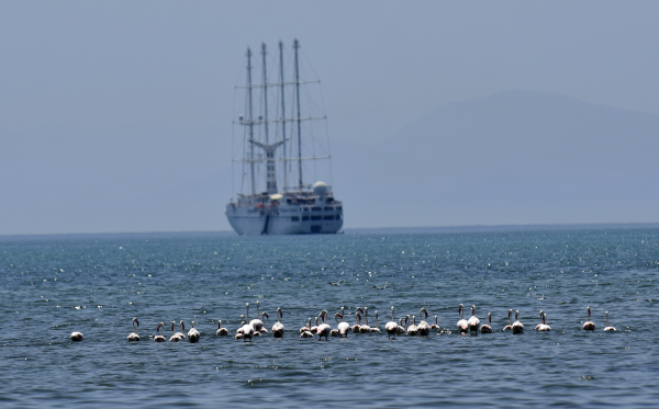 Πορτογαλία: Κρούσματα σε κρουαζιερόπλοιο, αποβιβάστηκαν 3.000 επιβάτες